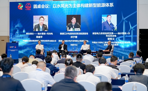 水風光一體化及綜合能源基地開發研討會在長沙召開 共探綠色發展新路徑